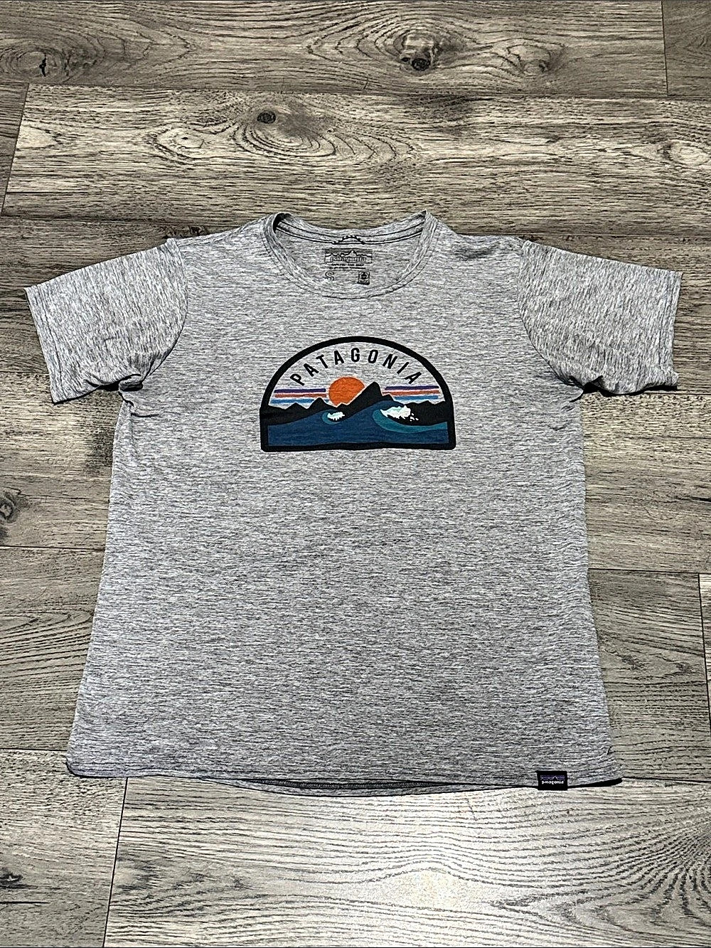 Patagonia Women’s Graphic Tee Small Gray